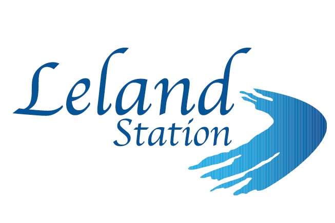 Leland Station Apartments