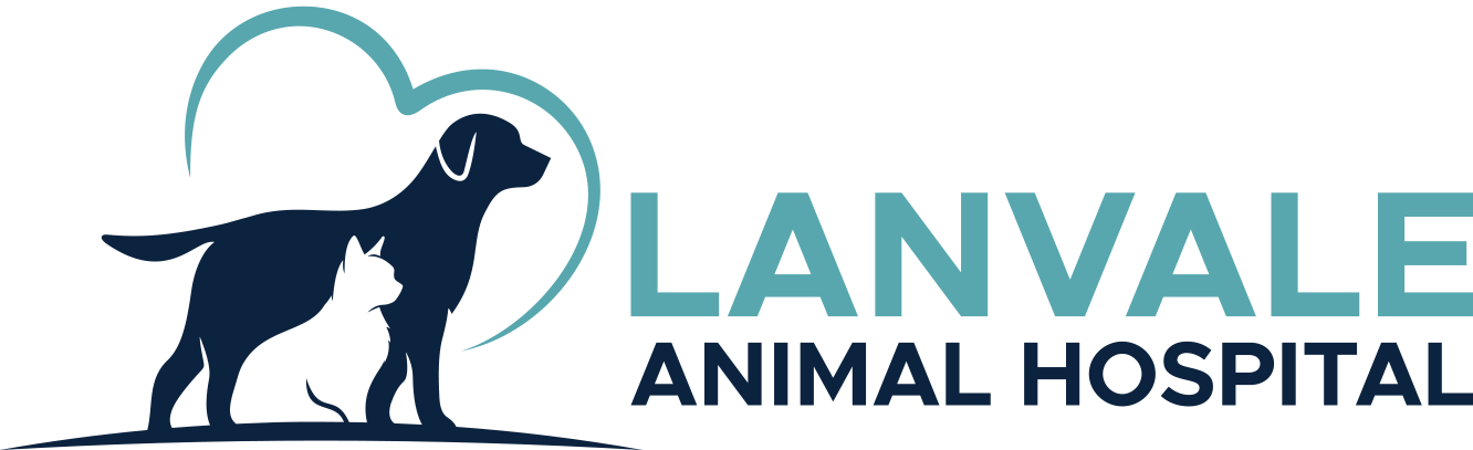 Lanvale Animal Hospital