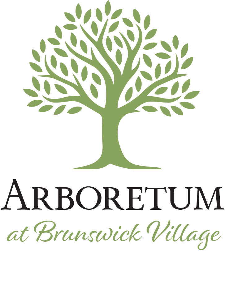 The Aboretum at Brunswick Forest